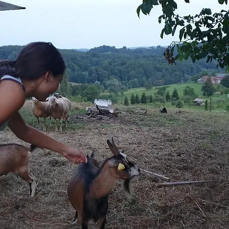 Beautiful House Surrounded By Pure Nature *