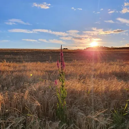Beautiful House Surrounded By Pure Nature * Rogašovci