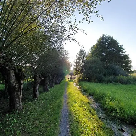 Beautiful House Surrounded By Pure Nature