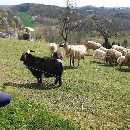Beautiful House Surrounded By Pure Nature בית נופש