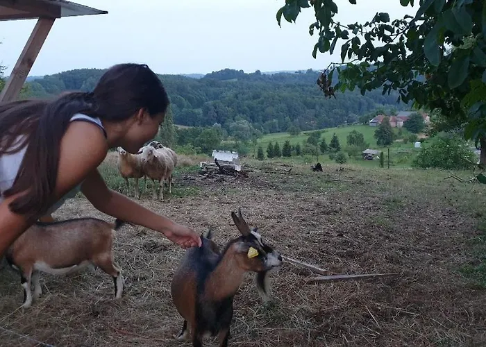 Beautiful House Surrounded By Pure Nature *