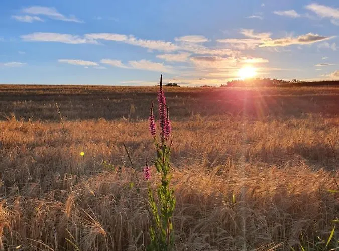 Beautiful House Surrounded By Pure Nature * Rogašovci