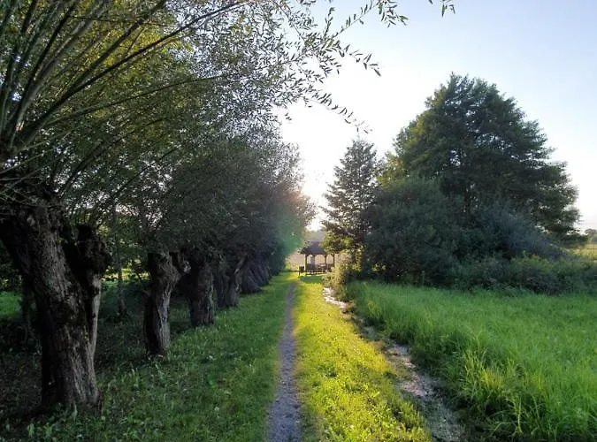 Beautiful House Surrounded By Pure Nature