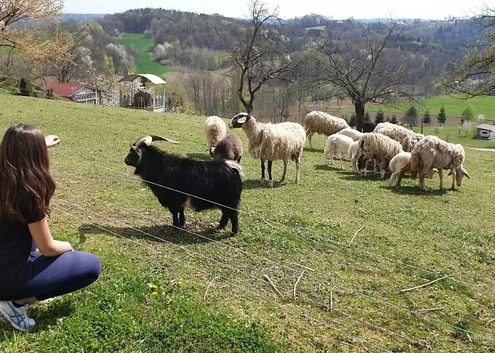 Beautiful House Surrounded By Pure Nature بيت للعطل